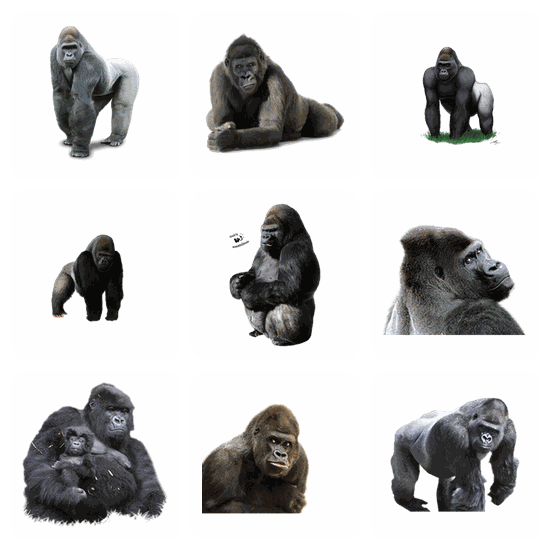 Gorilla PNG pack preview