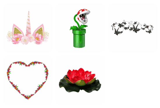 Flower PNG pack preview