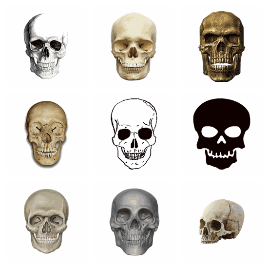 Skeleton Head PNG pack preview