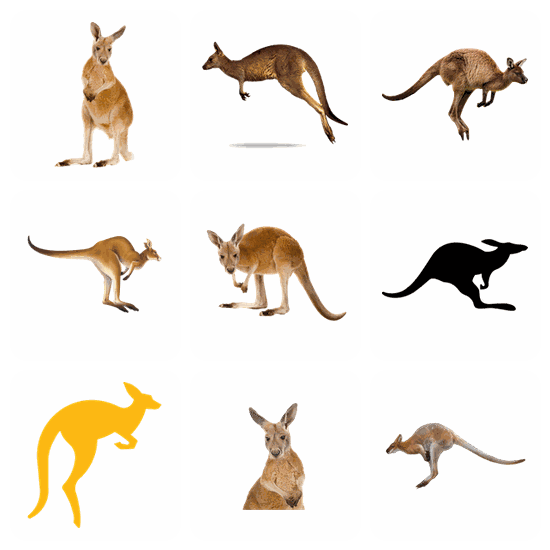 Kangaroo PNG pack preview