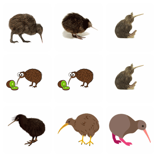 Kiwi Bird PNG pack preview