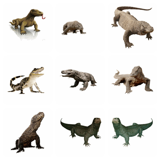 Komodo Dragon PNG pack preview