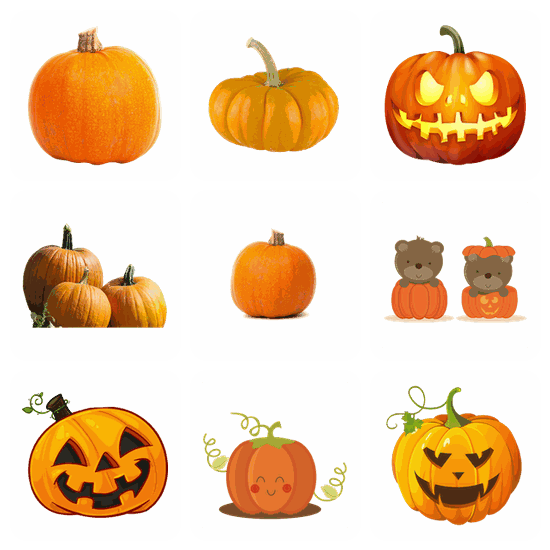 Pumpkin PNG pack preview