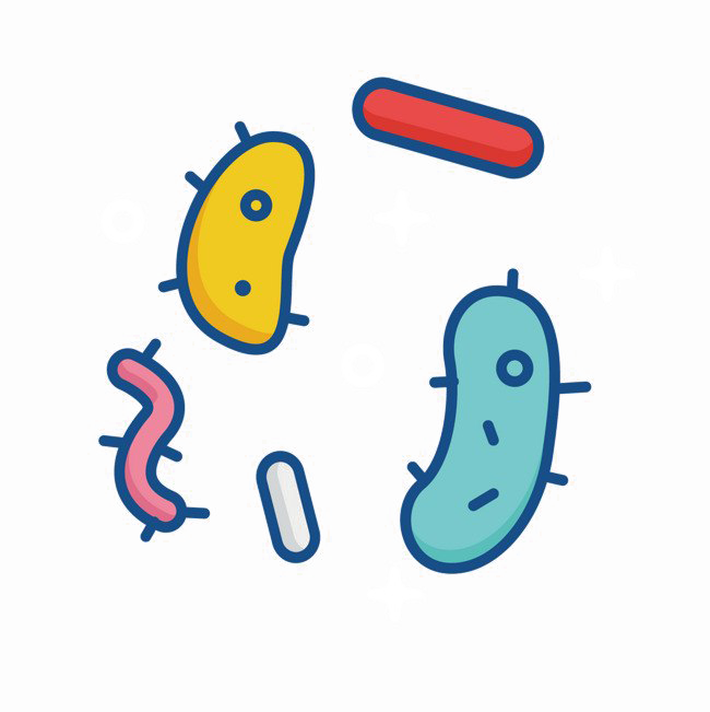 Bacteria PNG Free Photo PNG Image