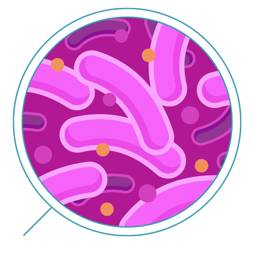 Bacteria Free HQ Image PNG Image
