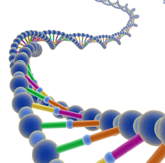 Dna Free Clipart HQ PNG Image