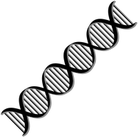 Dna Download PNG File HD PNG