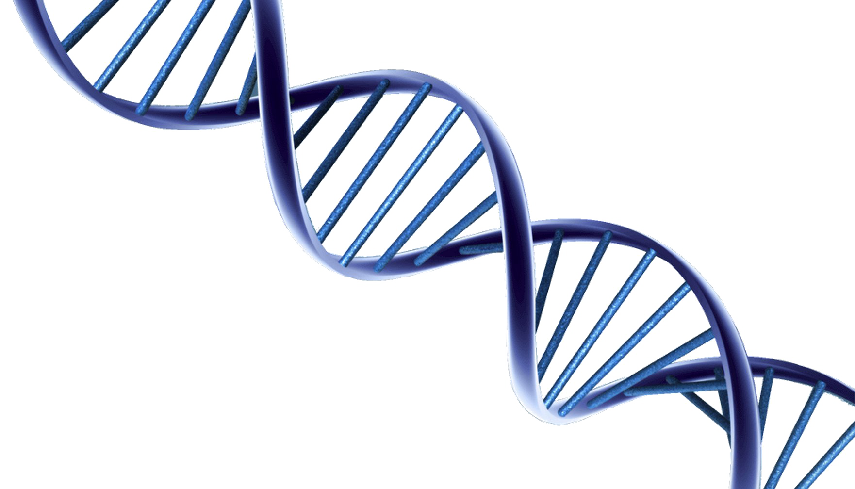 Dna HQ Image Free PNG PNG Image