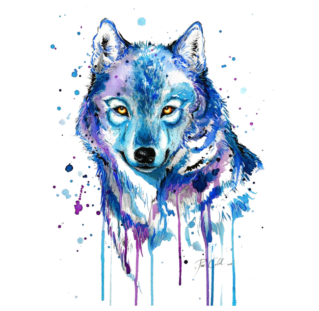 Gray Tattoo Abstract Watercolor Wolf Painting Drawing PNG Image