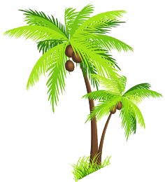 Palm Tree Picture PNG Image