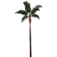 Palm Tree Png File Transparent PNG Image