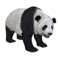 Panda Transparent PNG Image