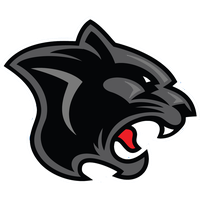 Panther Png Image Transparent HQ PNG Download | FreePNGImg