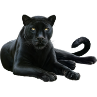 Download Panther Free PNG photo images and clipart | FreePNGImg