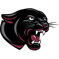 Download Panther Free PNG photo images and clipart | FreePNGImg