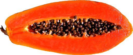 Fresh Papaya Half Download Free Image PNG Image