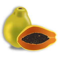 Papaya Organic Half PNG Download Free PNG Image