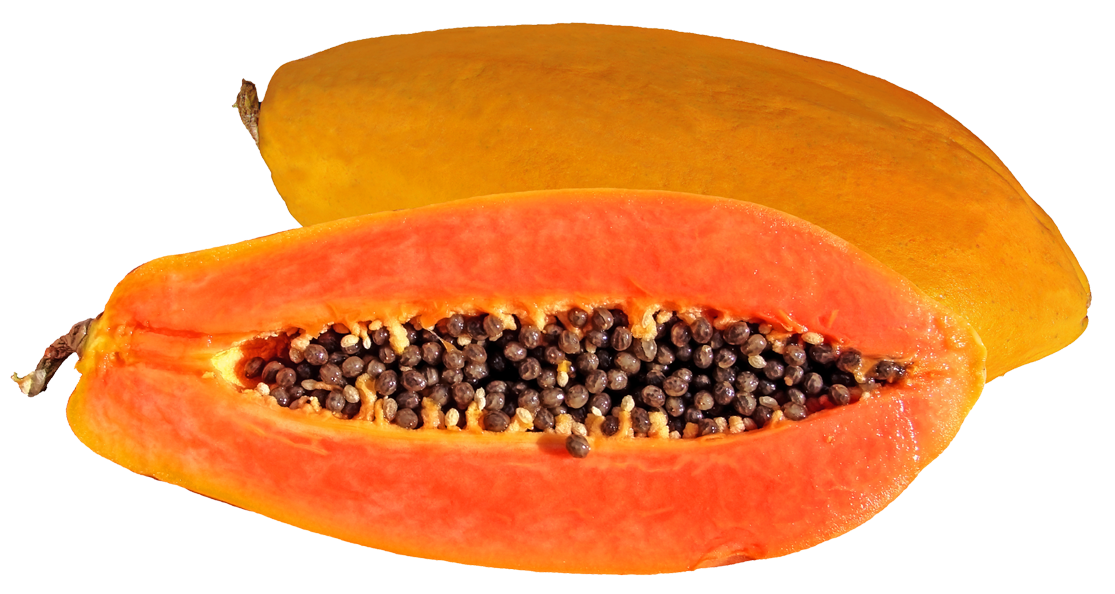 Papaya Clipart PNG Image
