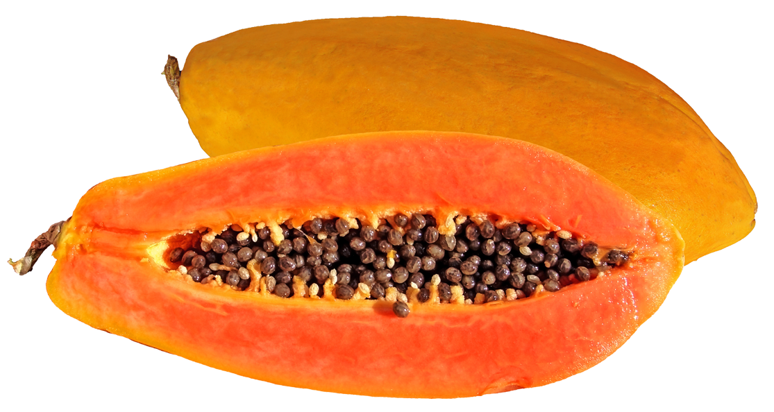 papaya clip art