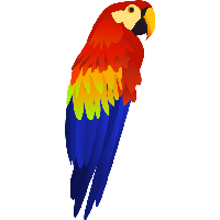 Colorful Parrot Png Images Download Transparent PNG Image