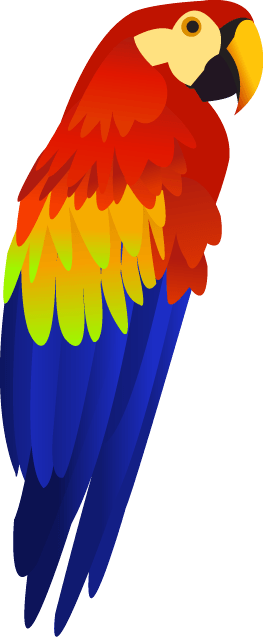 Colorful Parrot Png Images Download PNG Image