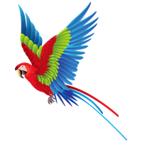 Parrot Png Image PNG Image