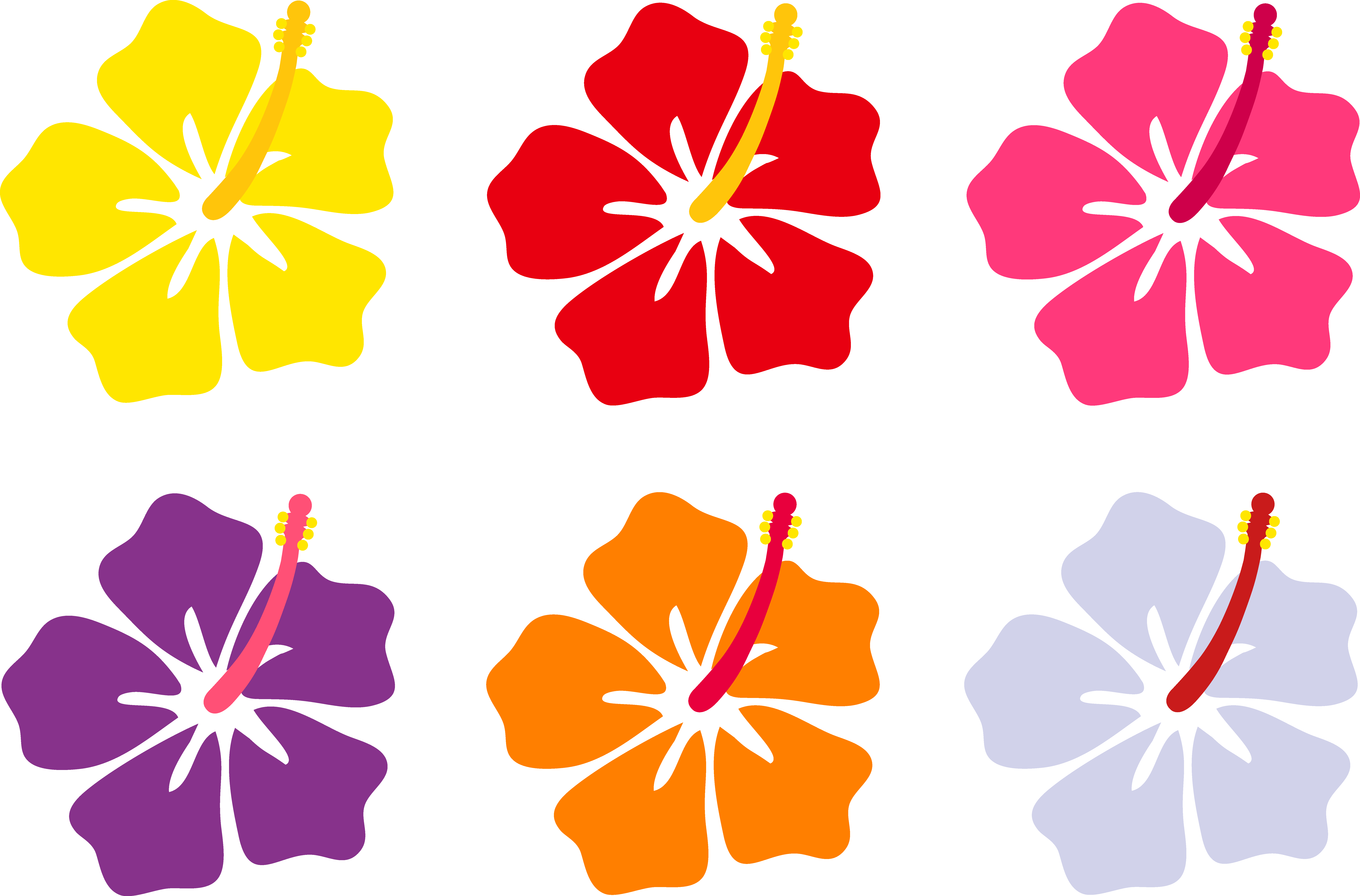 Flower Aloha Hawaiian Luau Free Transparent Image HQ PNG Image