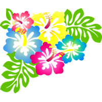 Download Hawaiian Luau Free HD Image HQ PNG Image | FreePNGImg