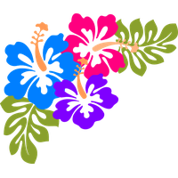 Download Hawaiian Luau Free HD Image HQ PNG Image | FreePNGImg