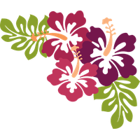 Images Hawaiian Luau HQ Image Free PNG
