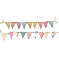 Party flags PNG