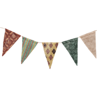 Party flags PNG