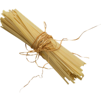 Pasta PNG