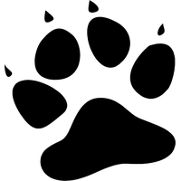 Paw PNG