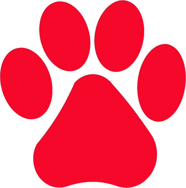 Paw Transparent PNG Image