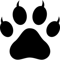 Paw PNG