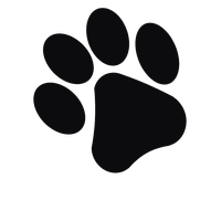 Paw PNG