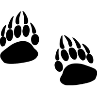 Paw PNG