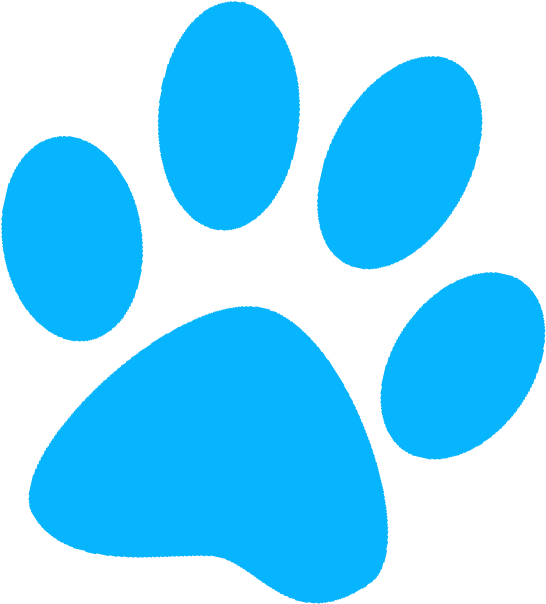 Paw Transparent PNG Image