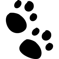 Paw PNG