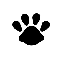 Paw PNG