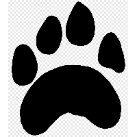 Paw PNG