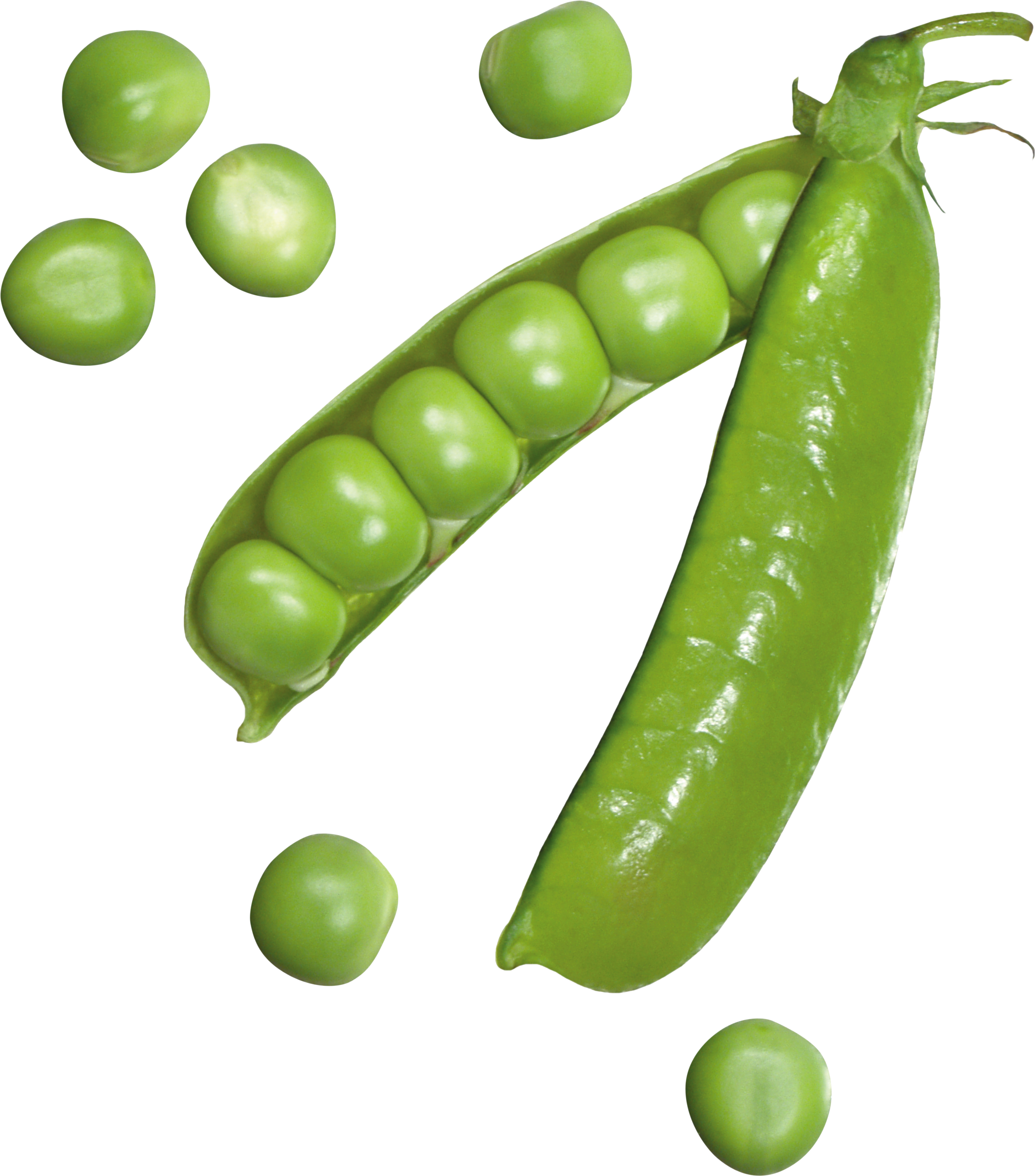 Pea Transparent PNG Image