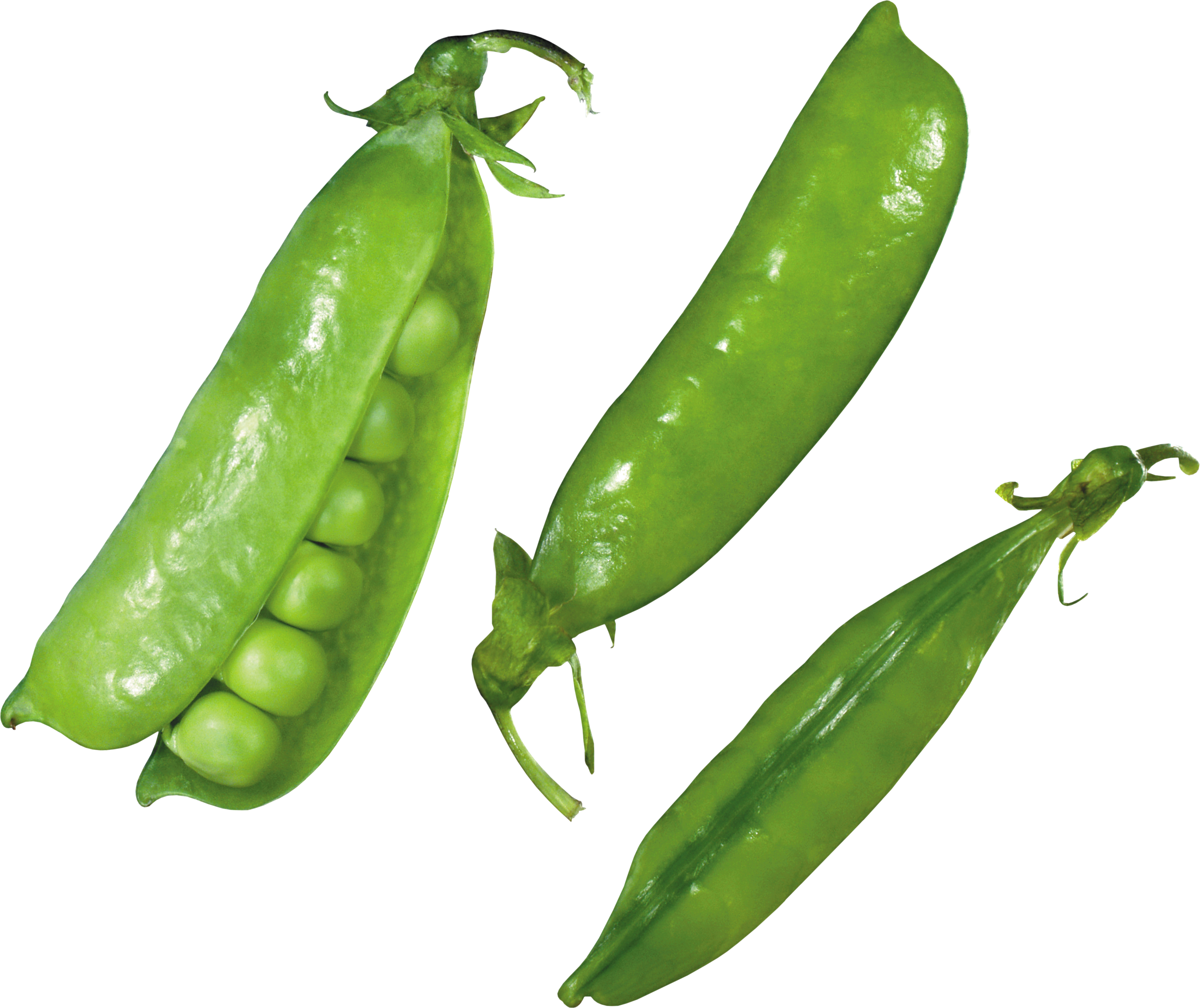 Pea Transparent PNG Image