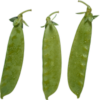 Pea PNG