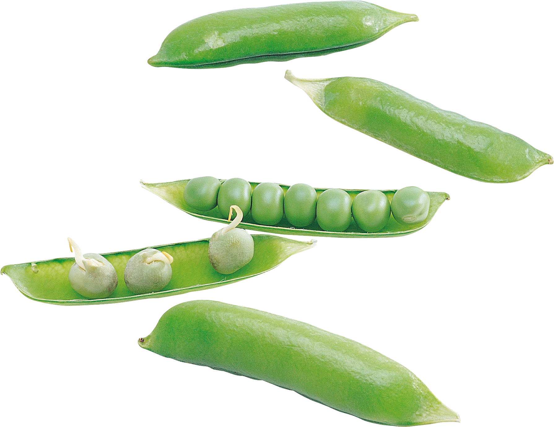 Pea Transparent PNG Image