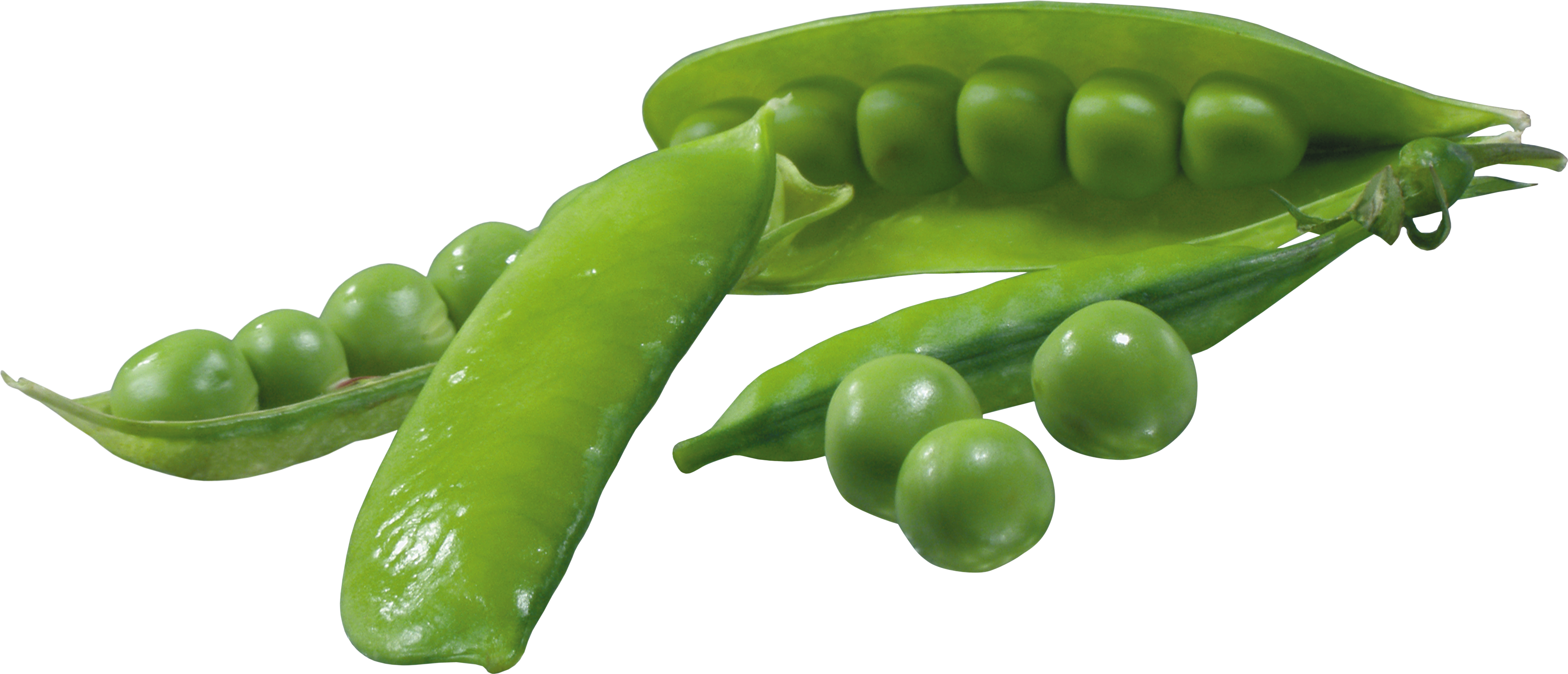 Pea Transparent PNG Image