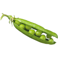 Pea PNG