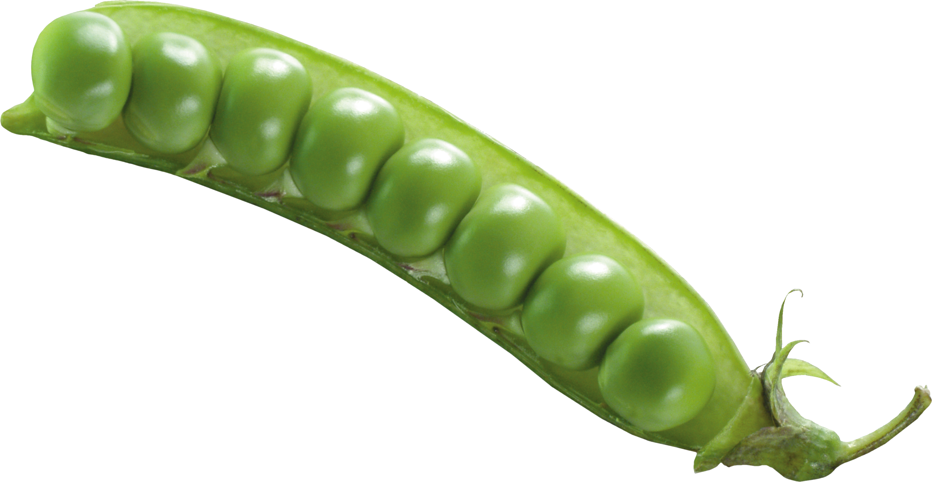 Pea Transparent PNG Image