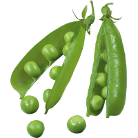 Pea PNG
